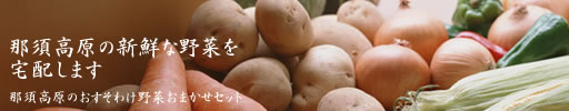 那須高原の新鮮な野菜を宅配します◆那須高原のおすそわけ野菜おまかせセット